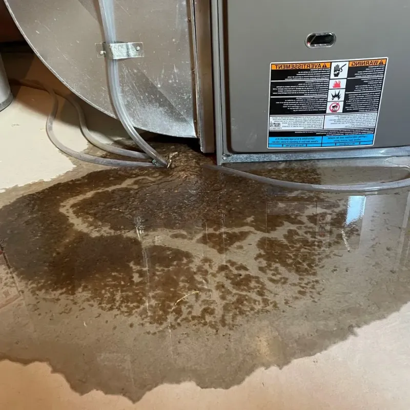 Pipe Burst and Leak Restoration in Saint Marys, PA