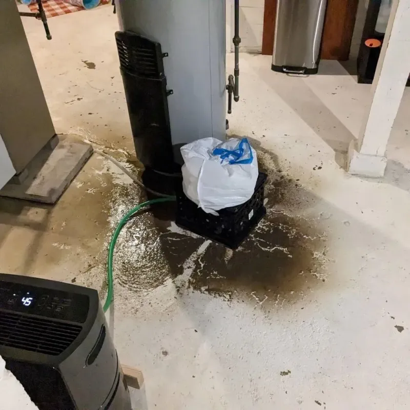 Sewage Backup Cleanup Service in Saint Marys, PA
